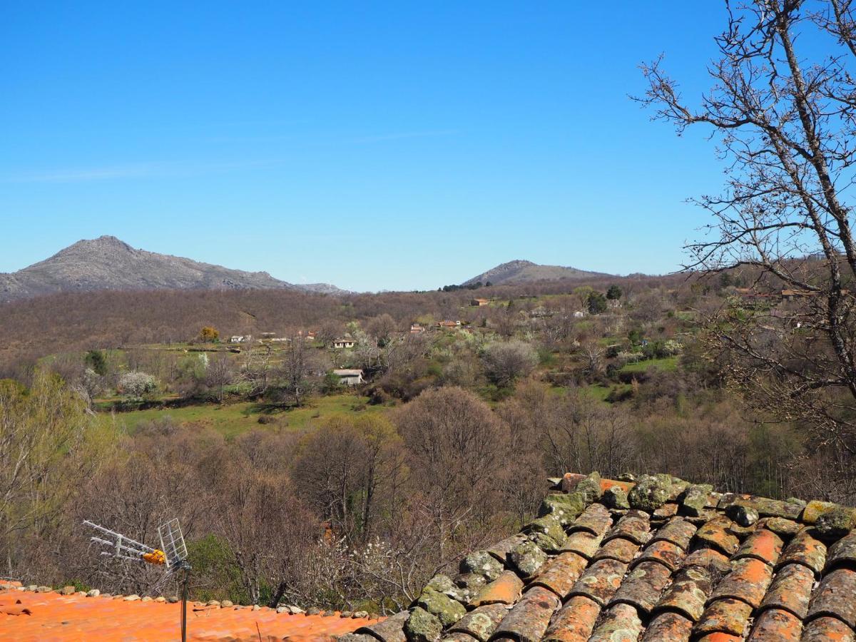 El Penthouse De La Casa Rebonita Candelario